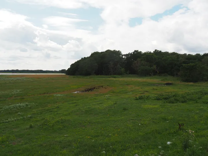 Halshuisene + Enebaerodde Beach (Denemarken)